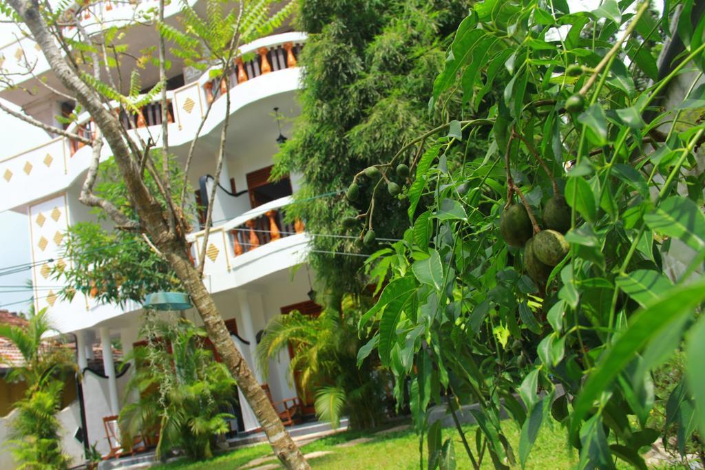 Orchid Rest Otel Mirissa Dış mekan fotoğraf